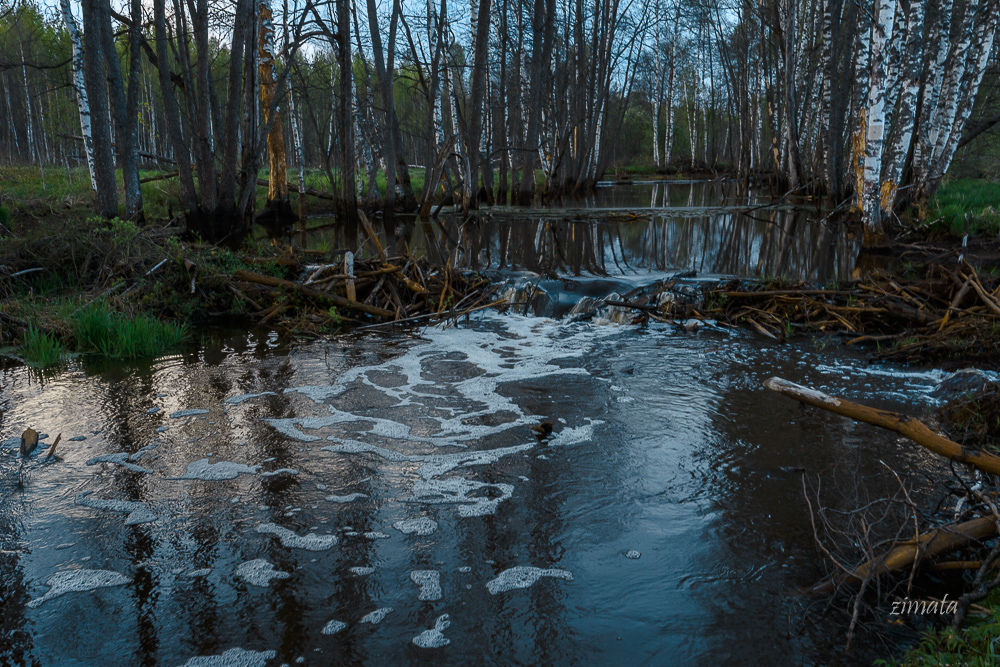 Frühling Überschwemmungen