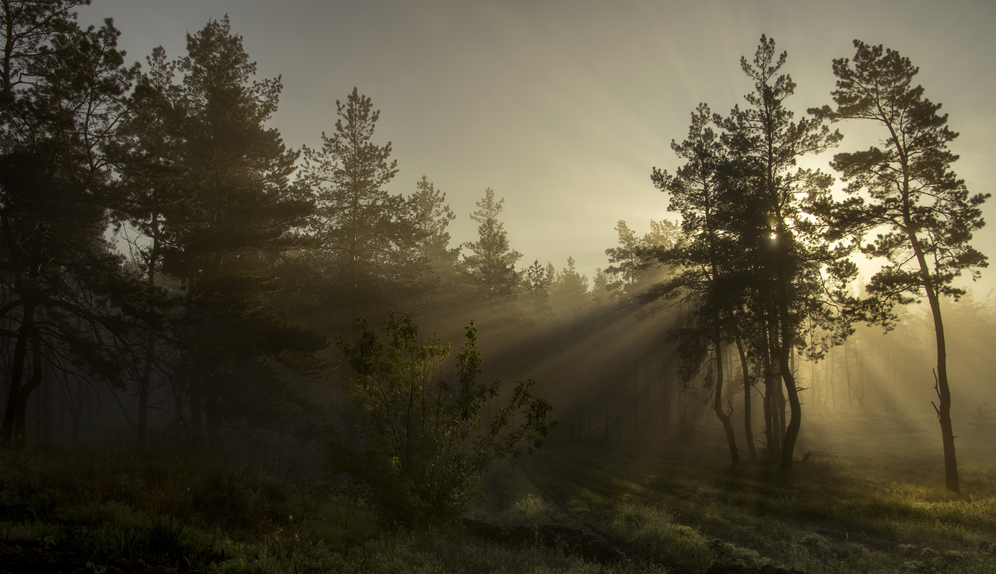 Die Frische des frühen Morgens