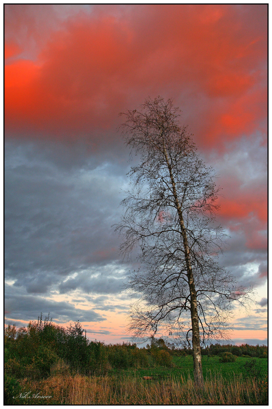 lila Sonnenuntergang