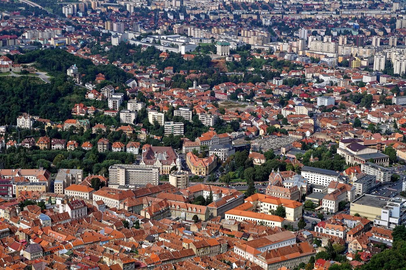 Städtische Ameisenhaufen