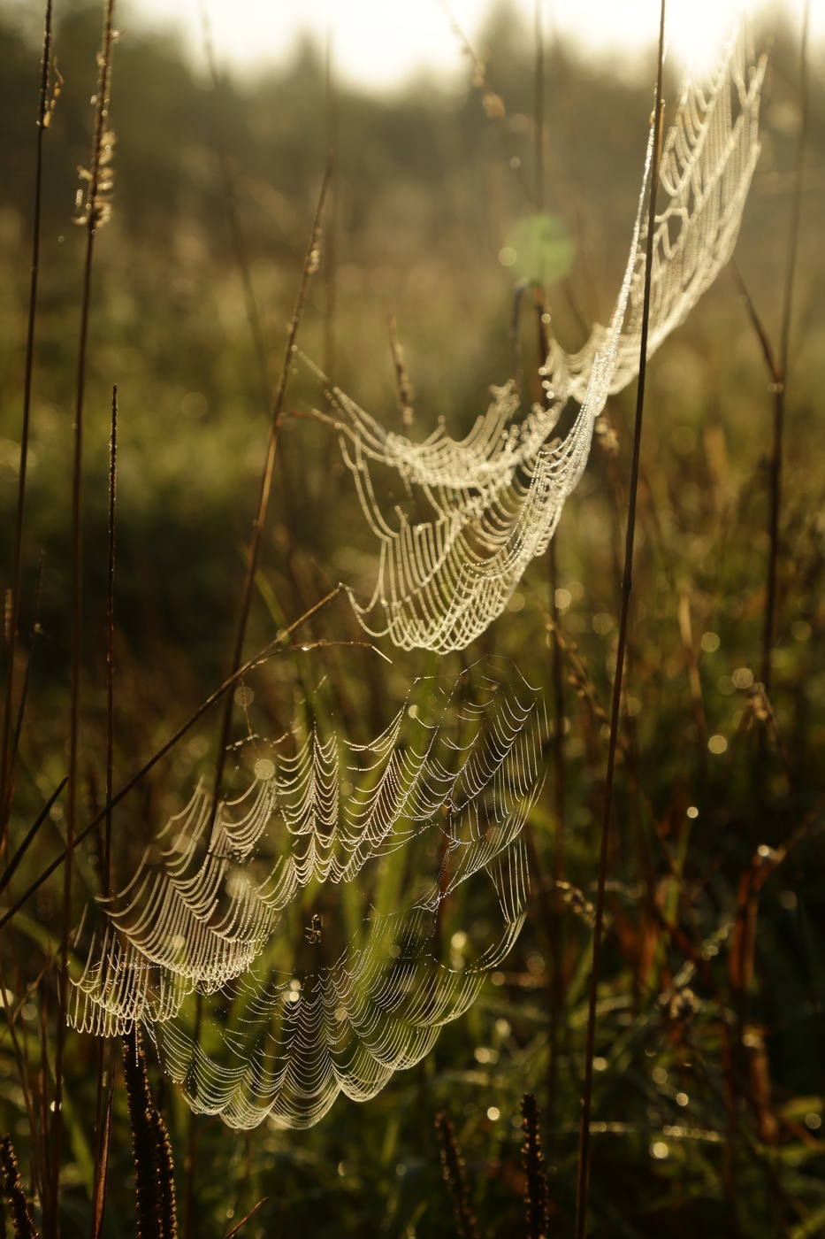 Erinnerungen an den Sommer
