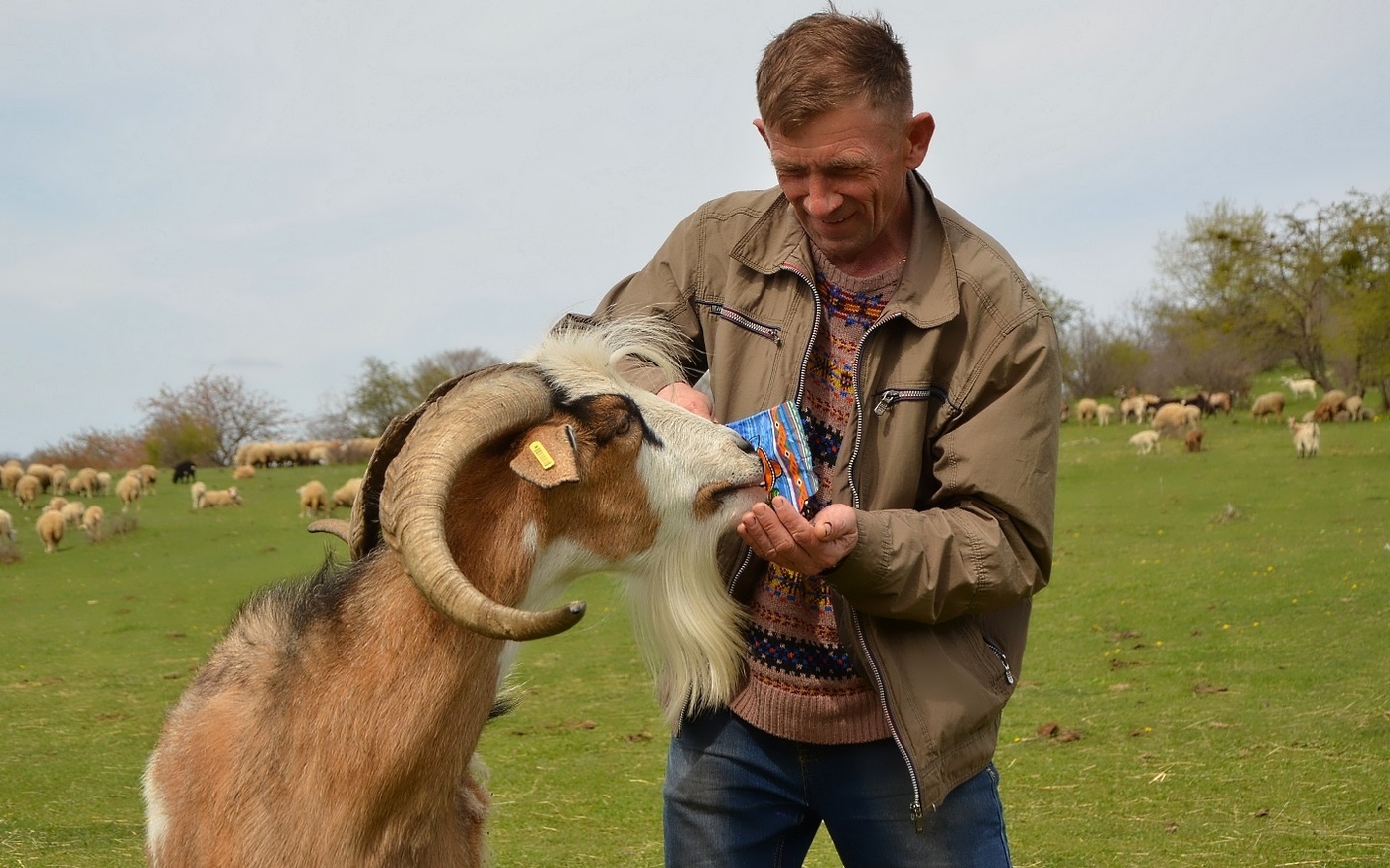 Ein zufälliges Treffen