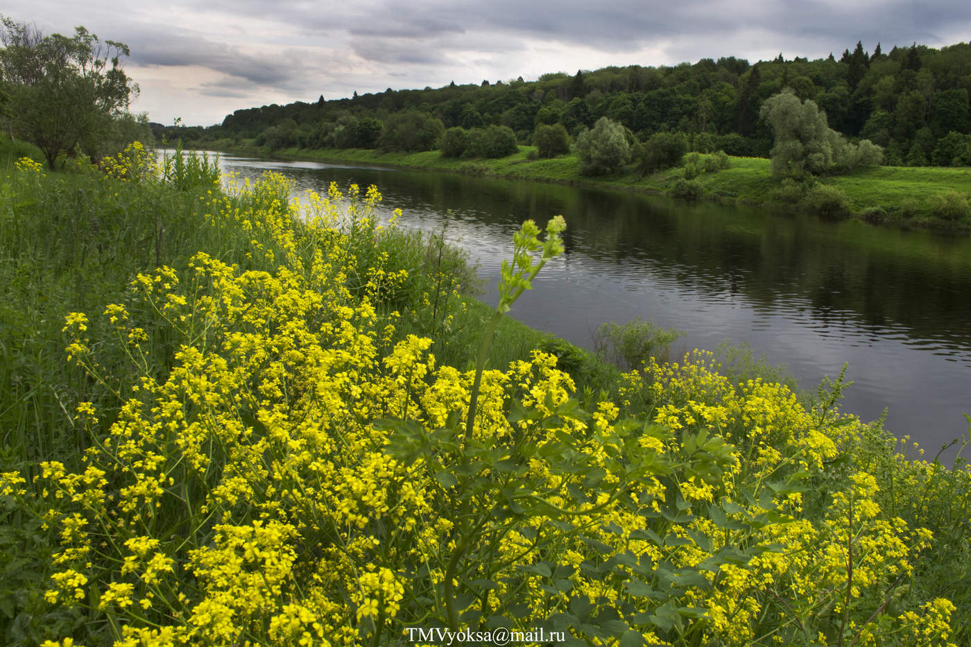 Sie tragen mich einen Fluss