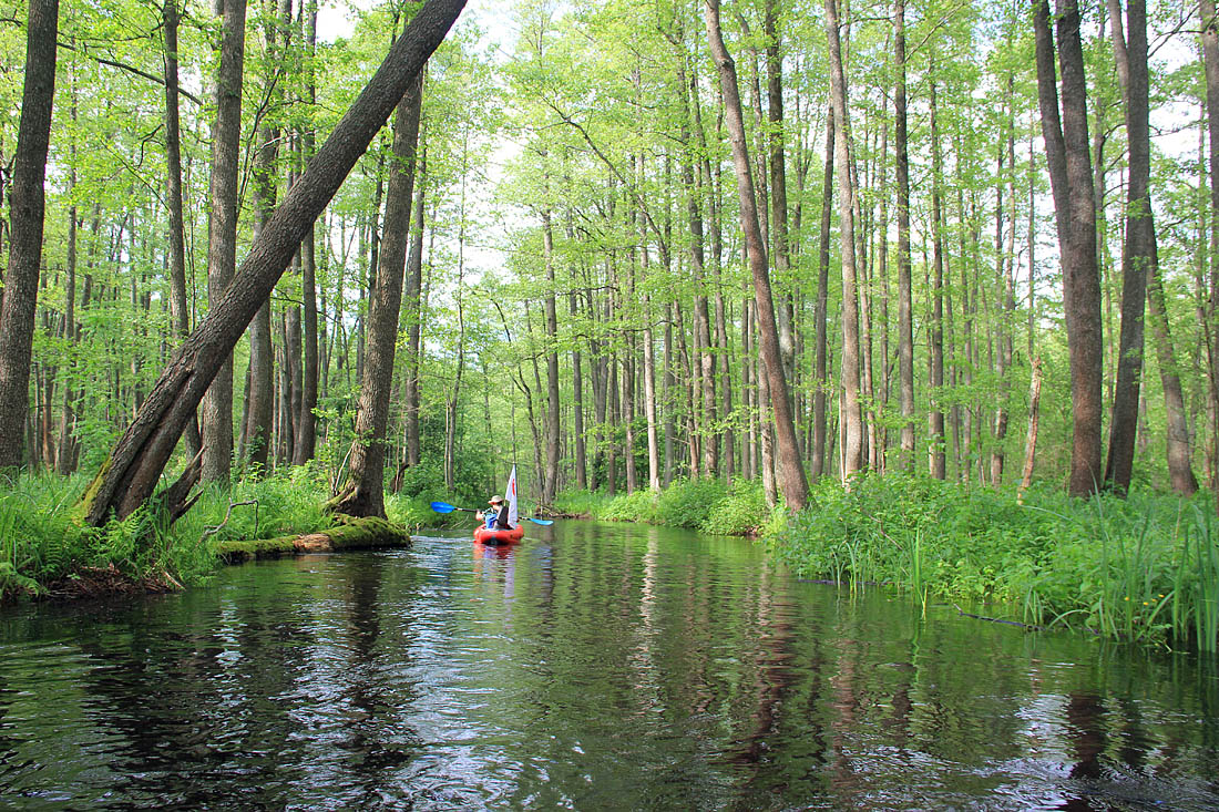 In dem Labyrinth Stokhid