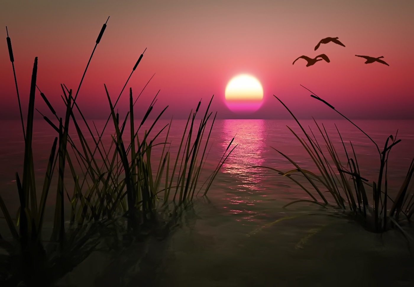 Fliegen Zugvögel ...