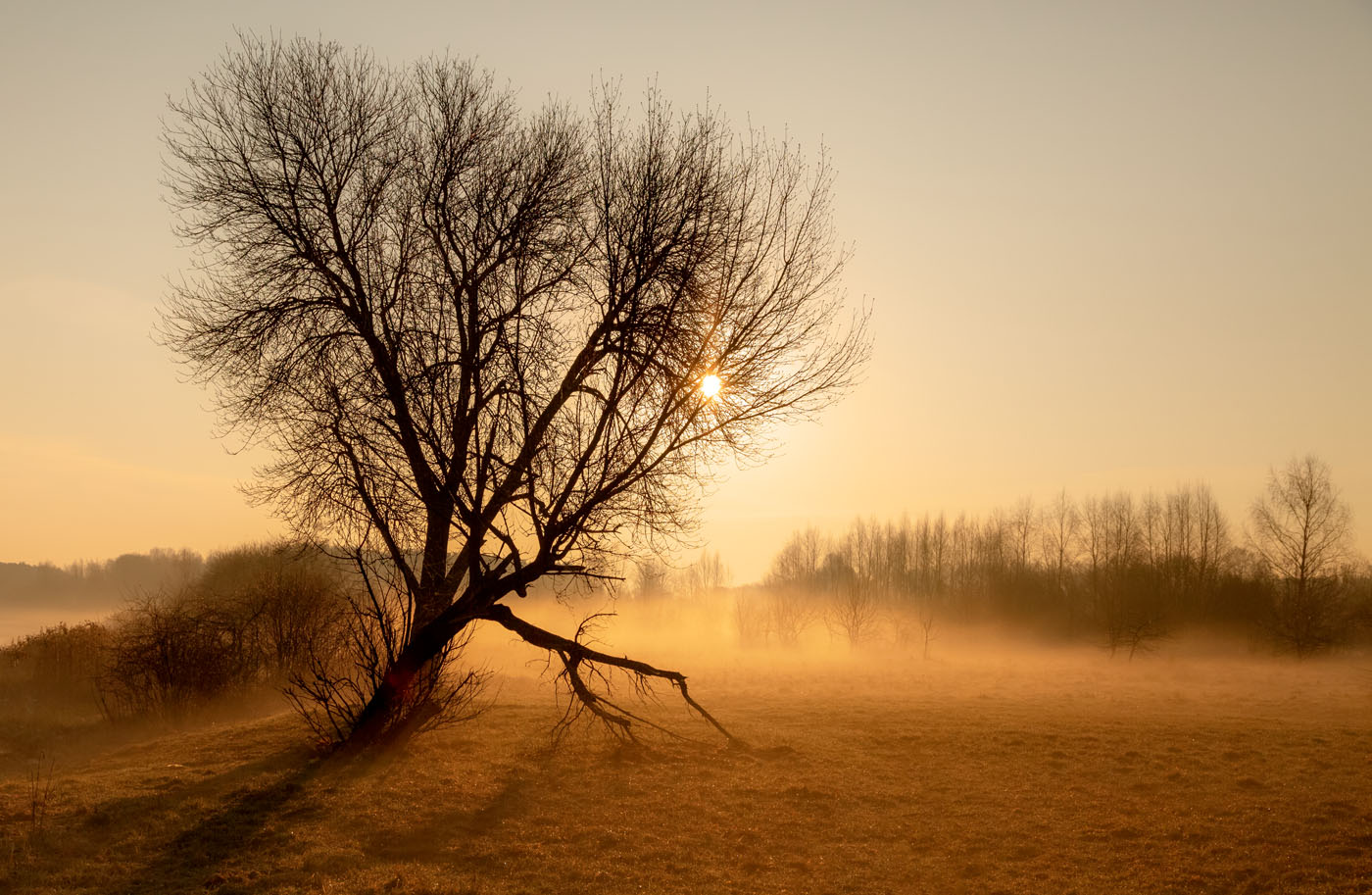 Der Geruch des Herbstes