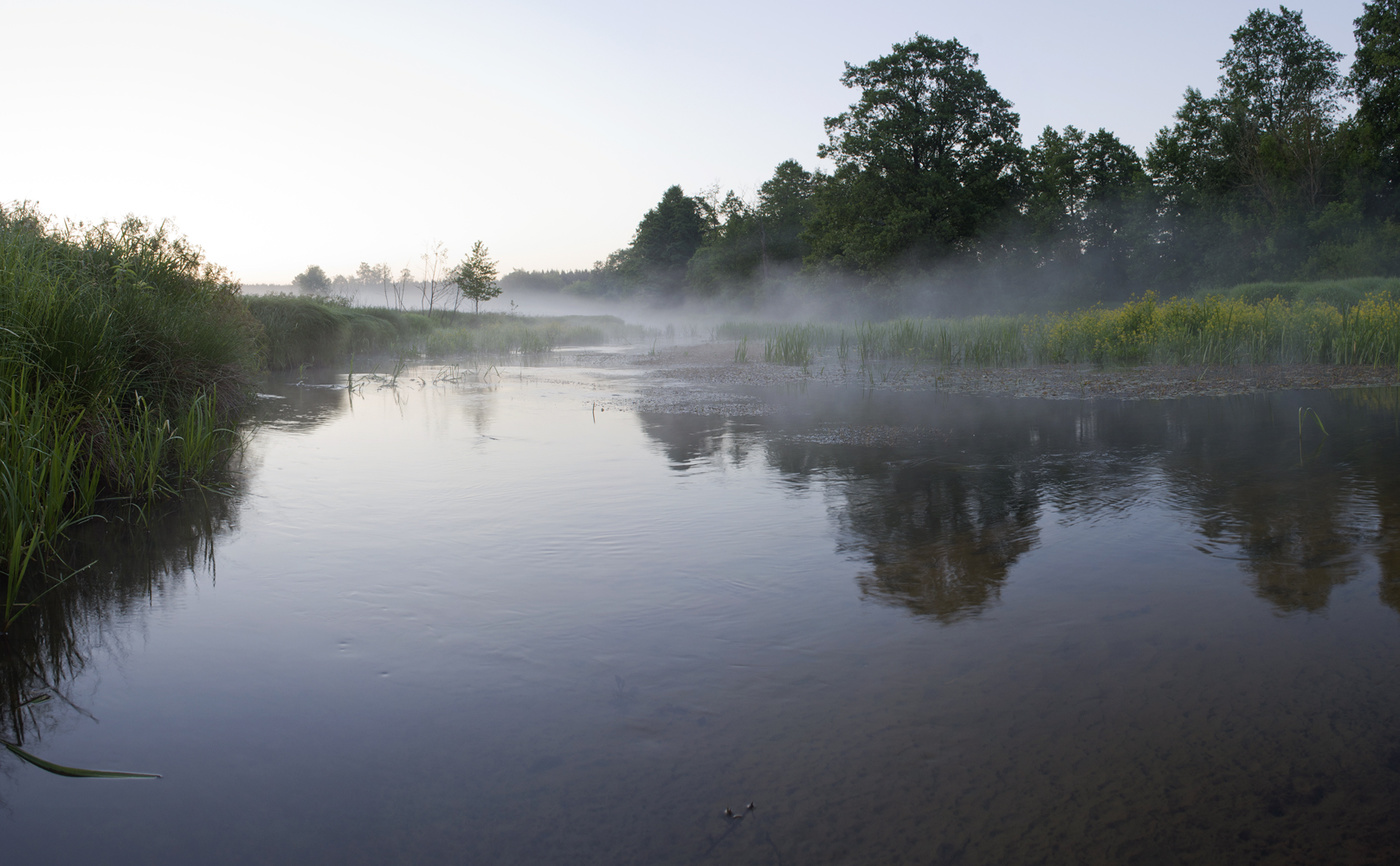 Morgen auf dem Fluss