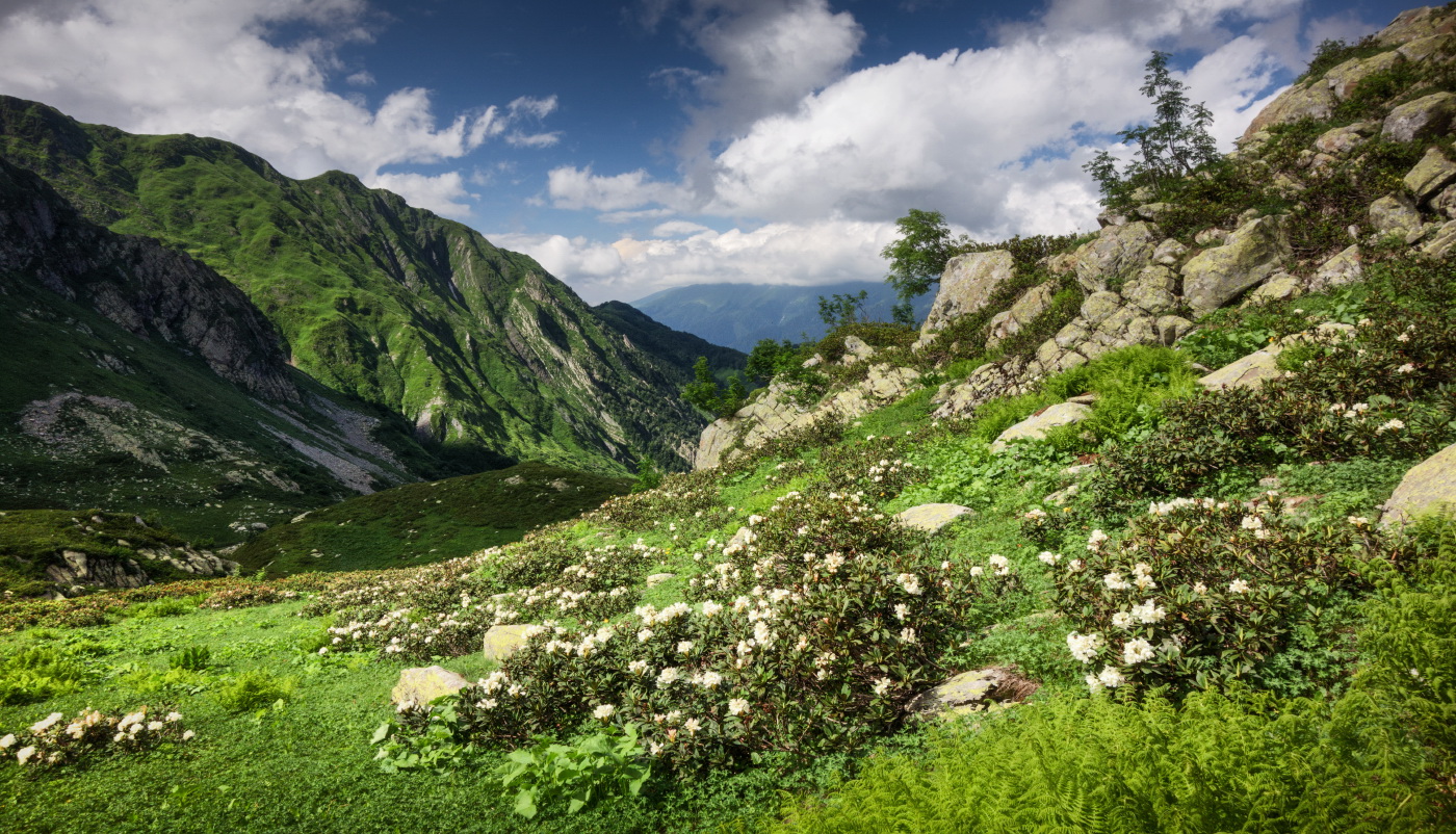 In den Bergen des Kaukasus