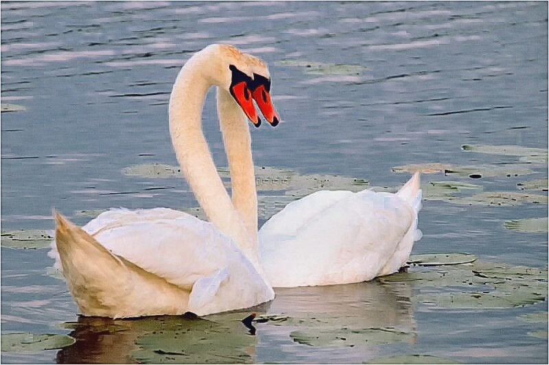 Foto auf der Speicher