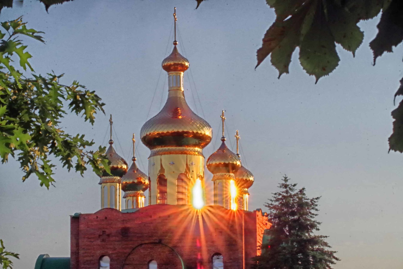 Goldener Sonnenstrahl ...