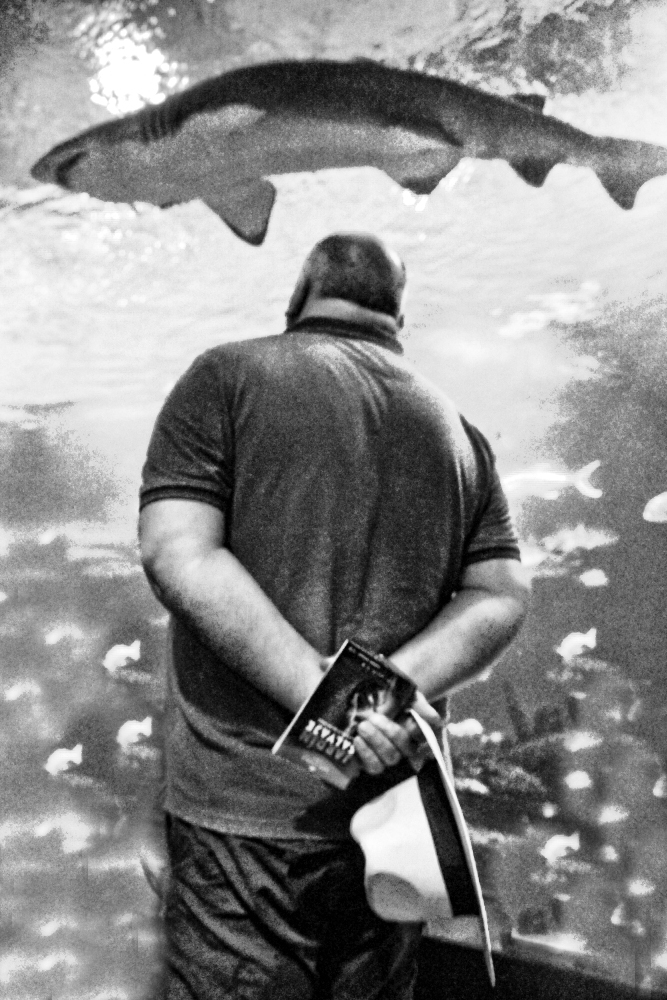 Oceanogràfic (waterworld museum, Valencia,Spain