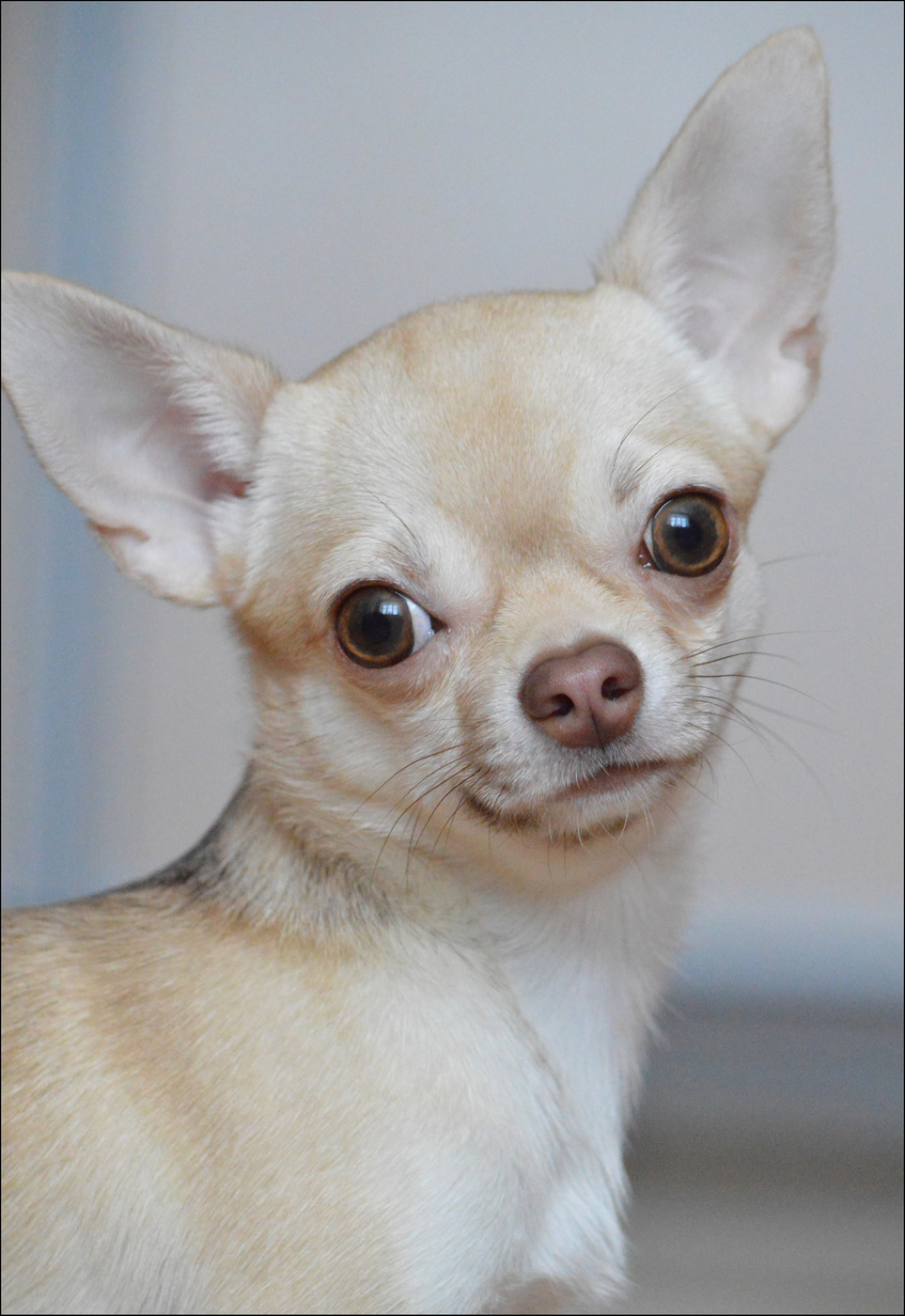 Portrait in high key MODELL: Diana Tagay