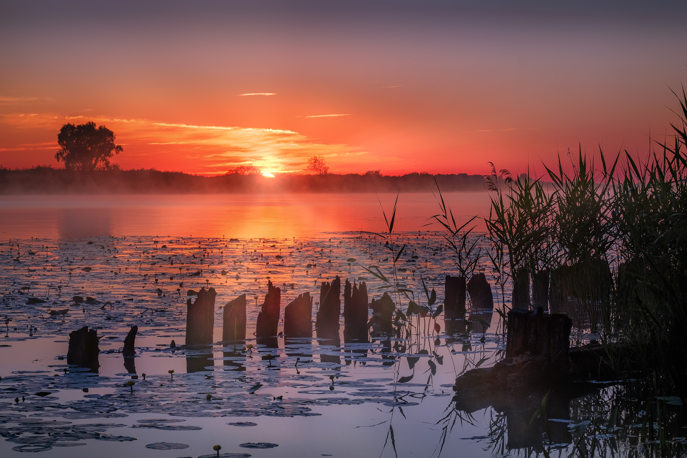 roten Sonnenuntergang