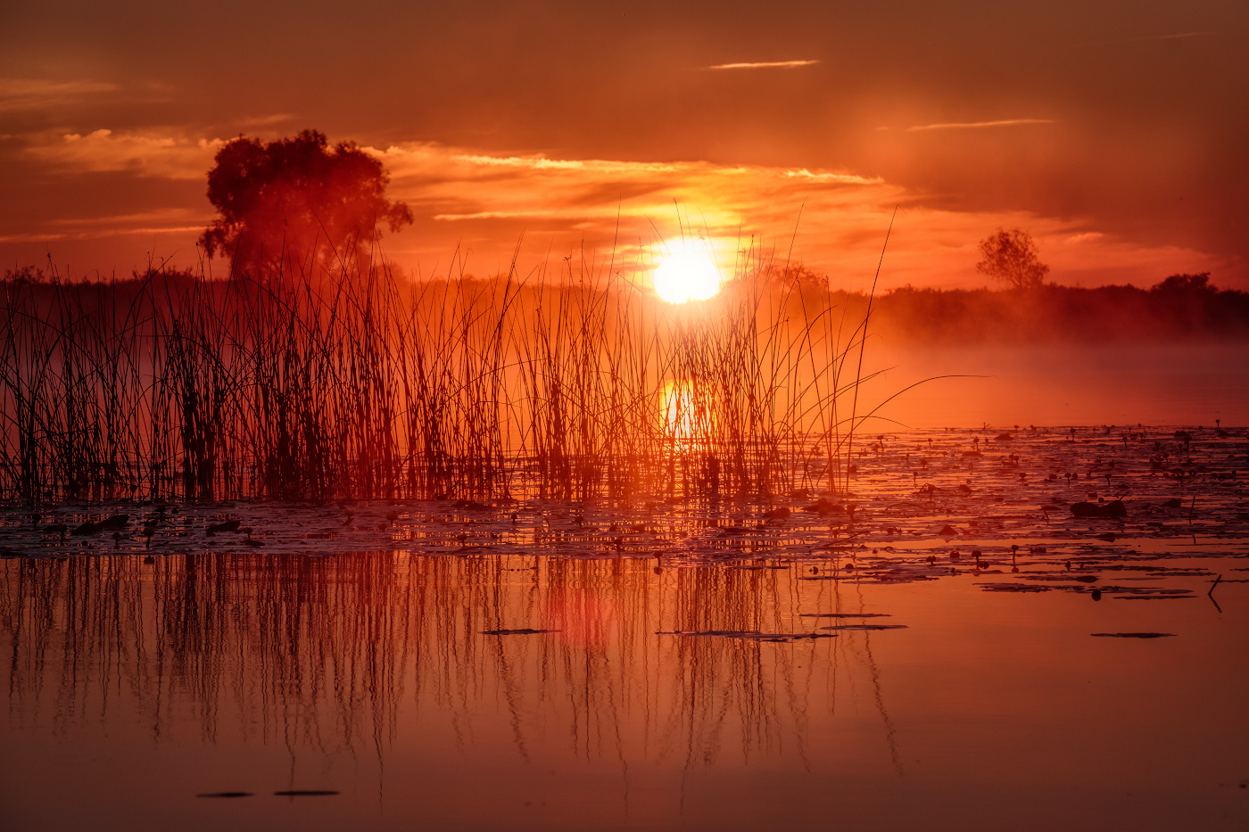 roten Sonnenuntergang