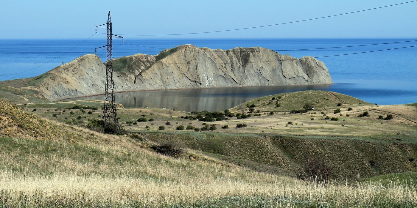 Industrial Chameleon