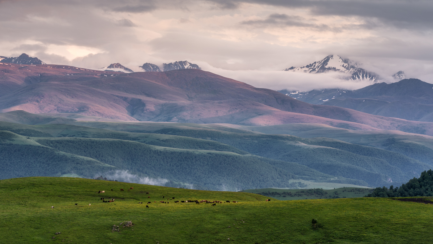 Am späten Nachmittag