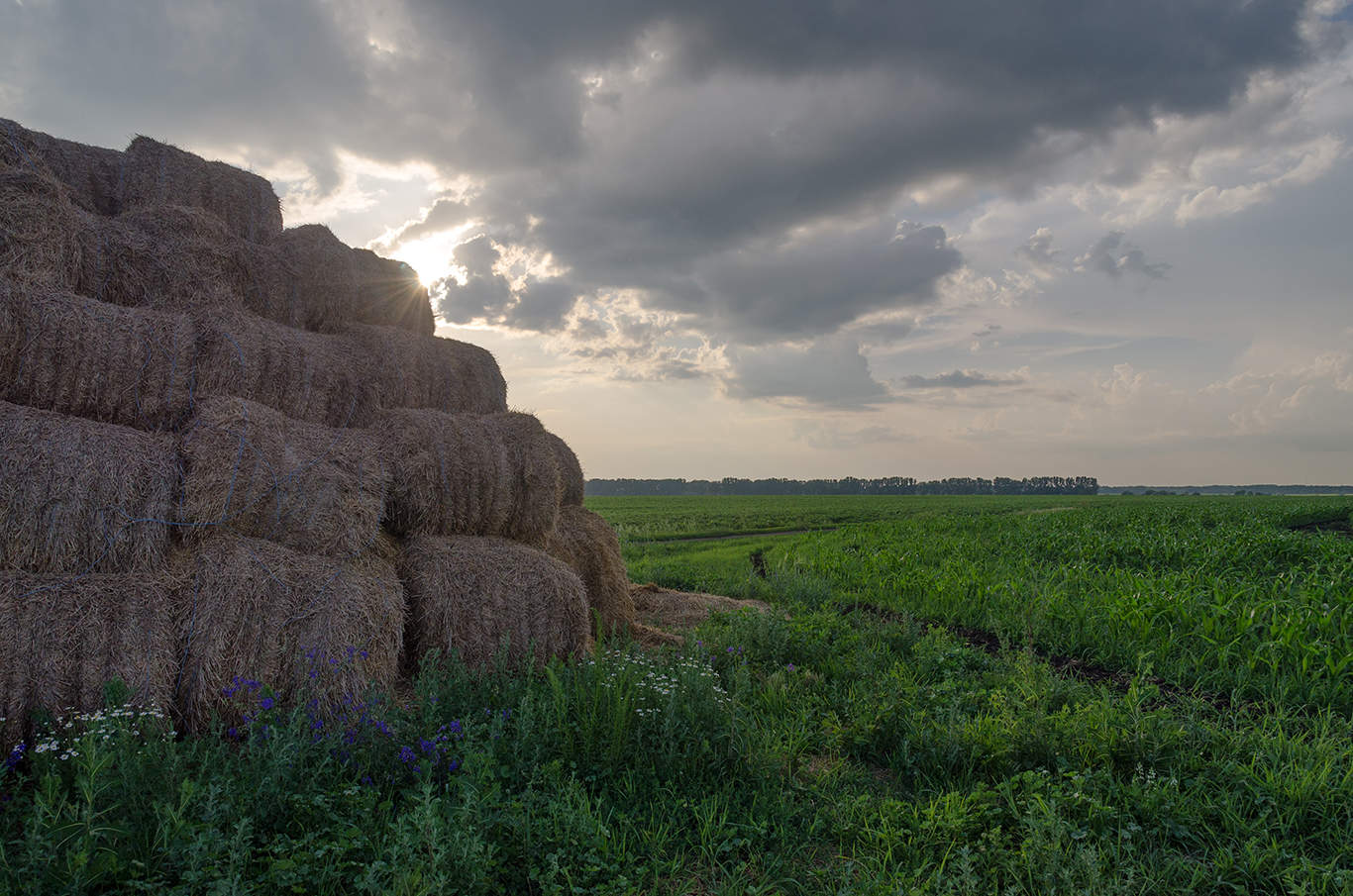 Abend auf dem Gebiet