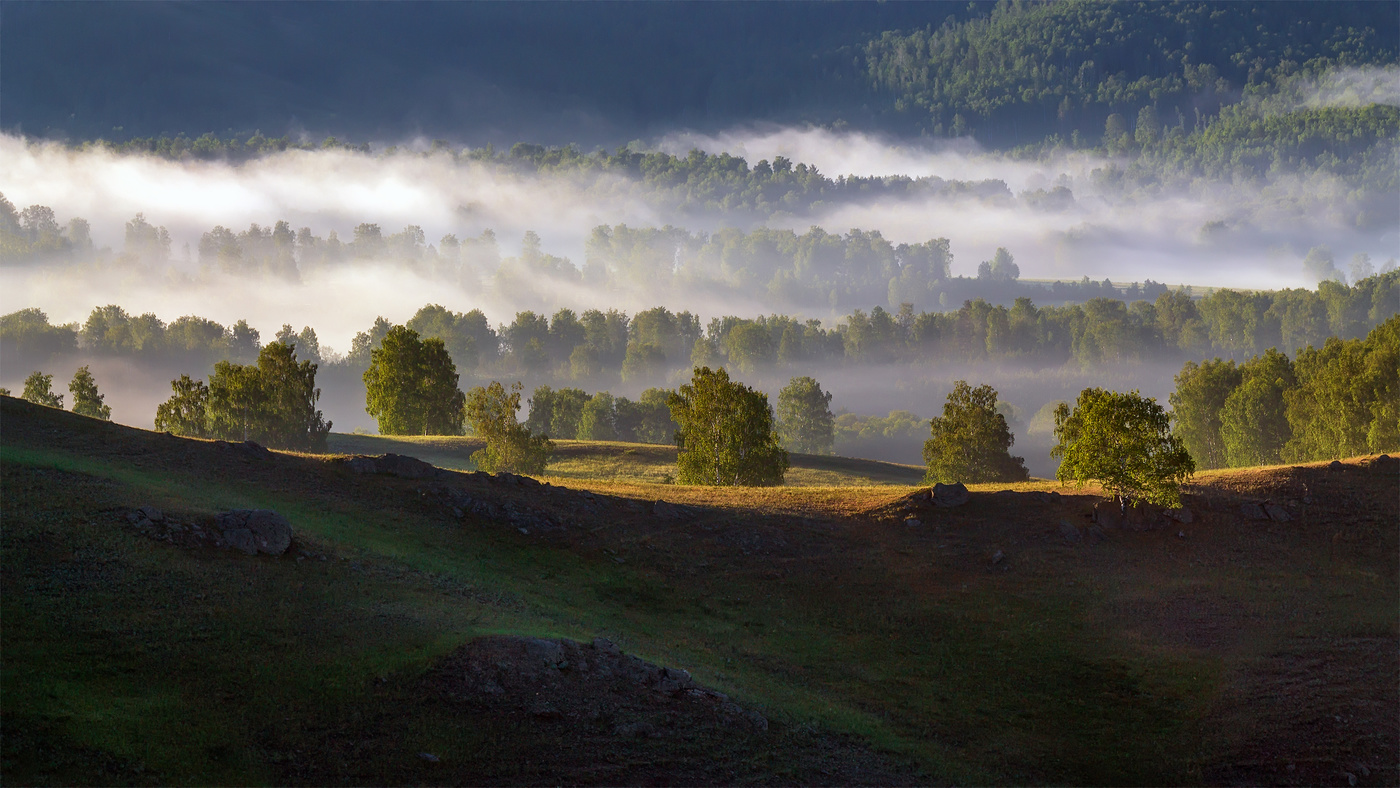In der Umarmung des Nebels