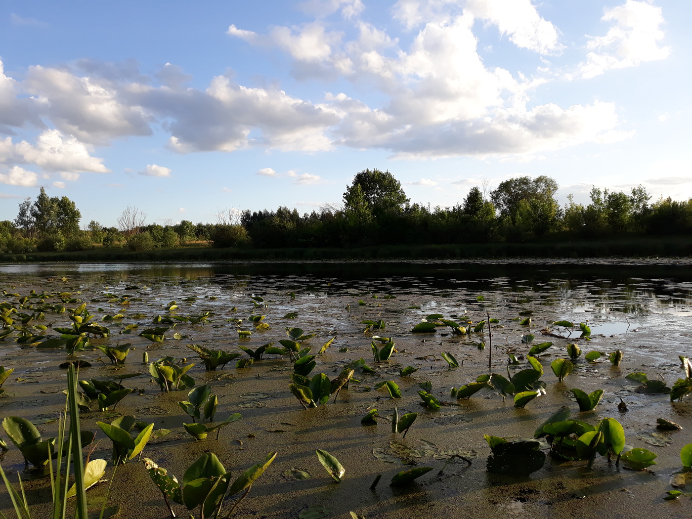 ein wenig Sonne in kaltem Wasser ...