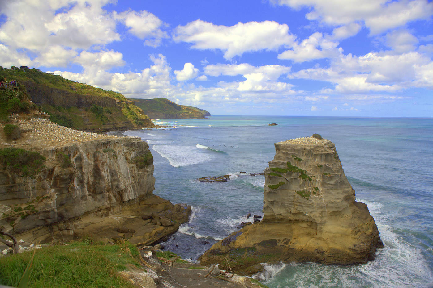 Tasman Sea Coast