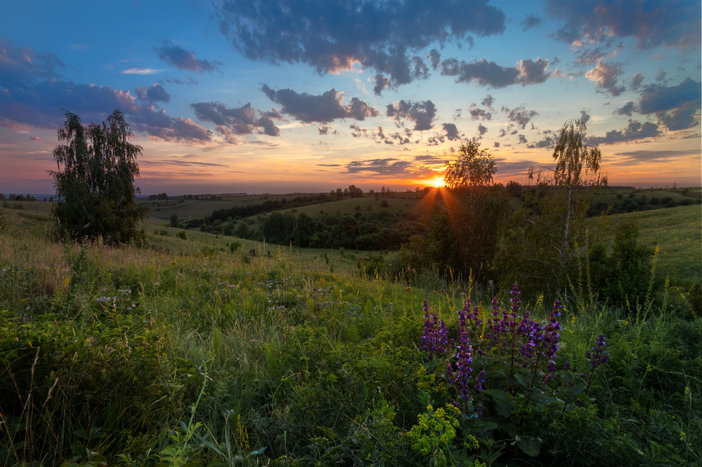 Am Abend nach dem regen