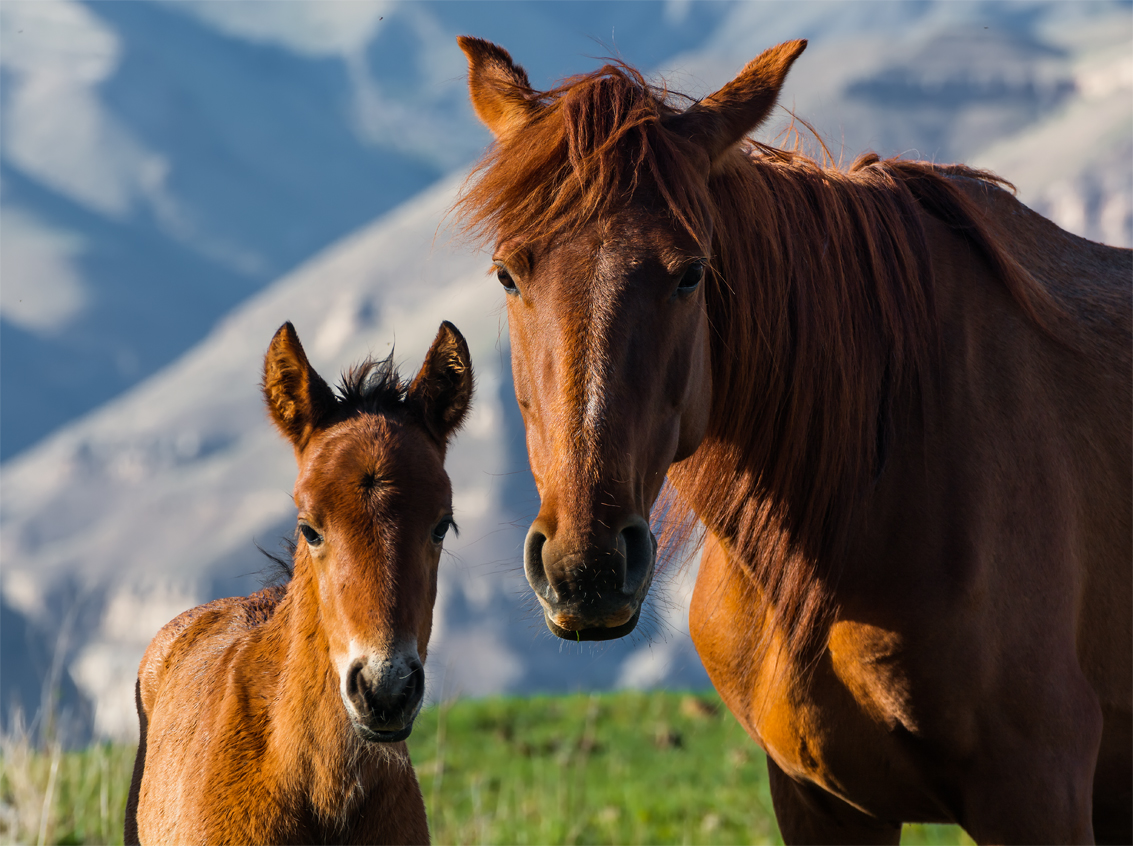 Ich und meine Mutter
