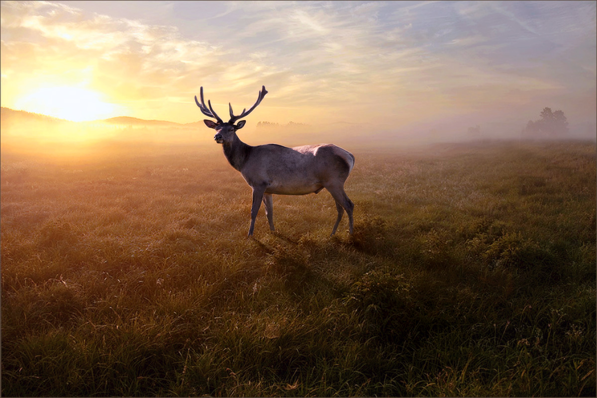 Die Begegnung mit der Morgendämmerung