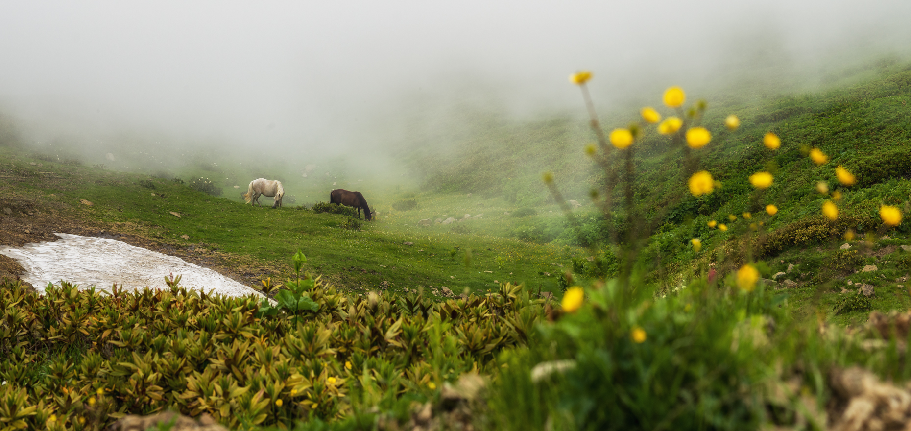 Dämmerung Gesang der Engel