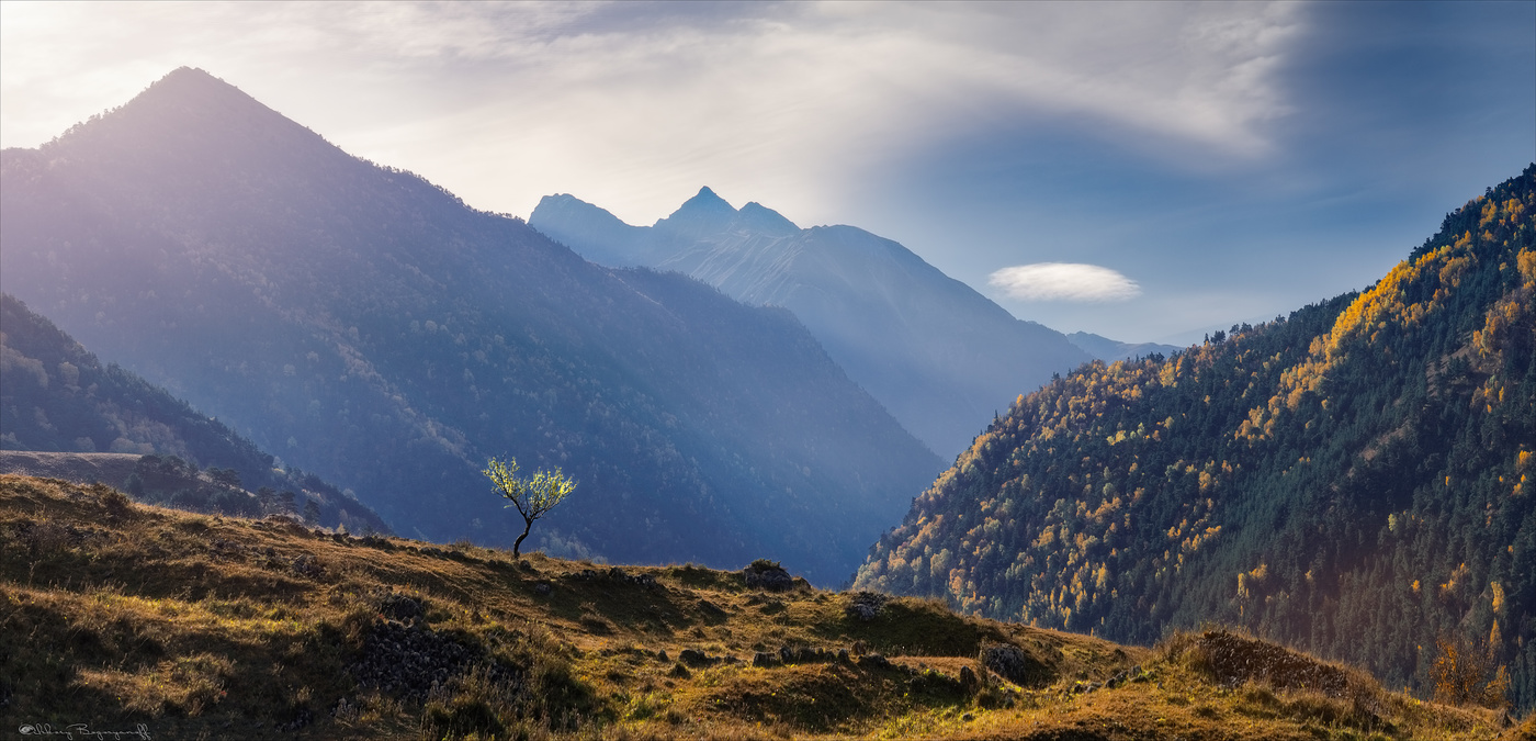 Hören auf die Stille ...