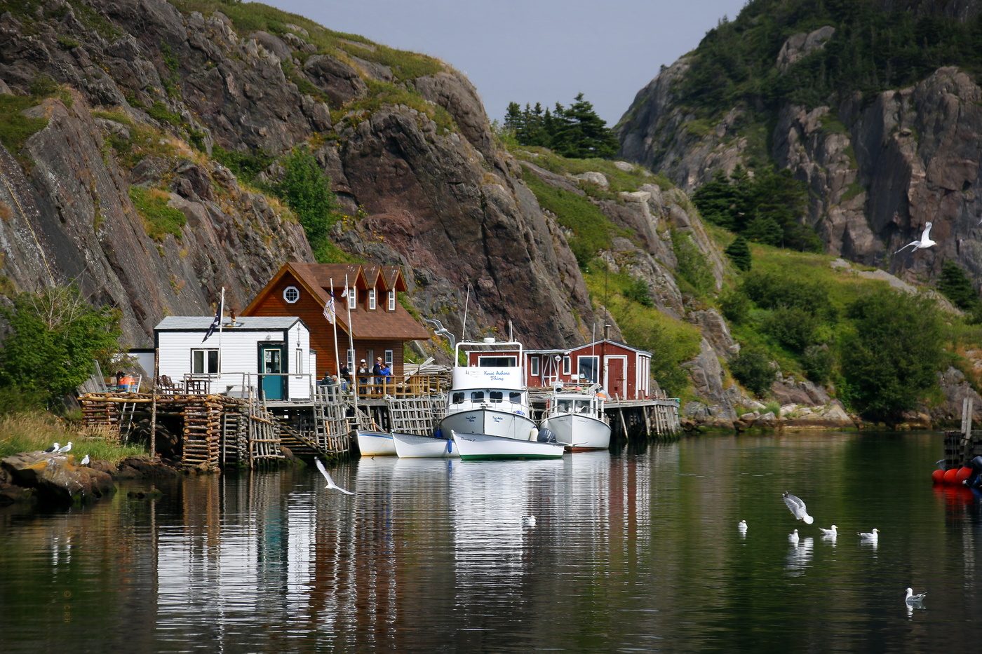 Quidi Vidi