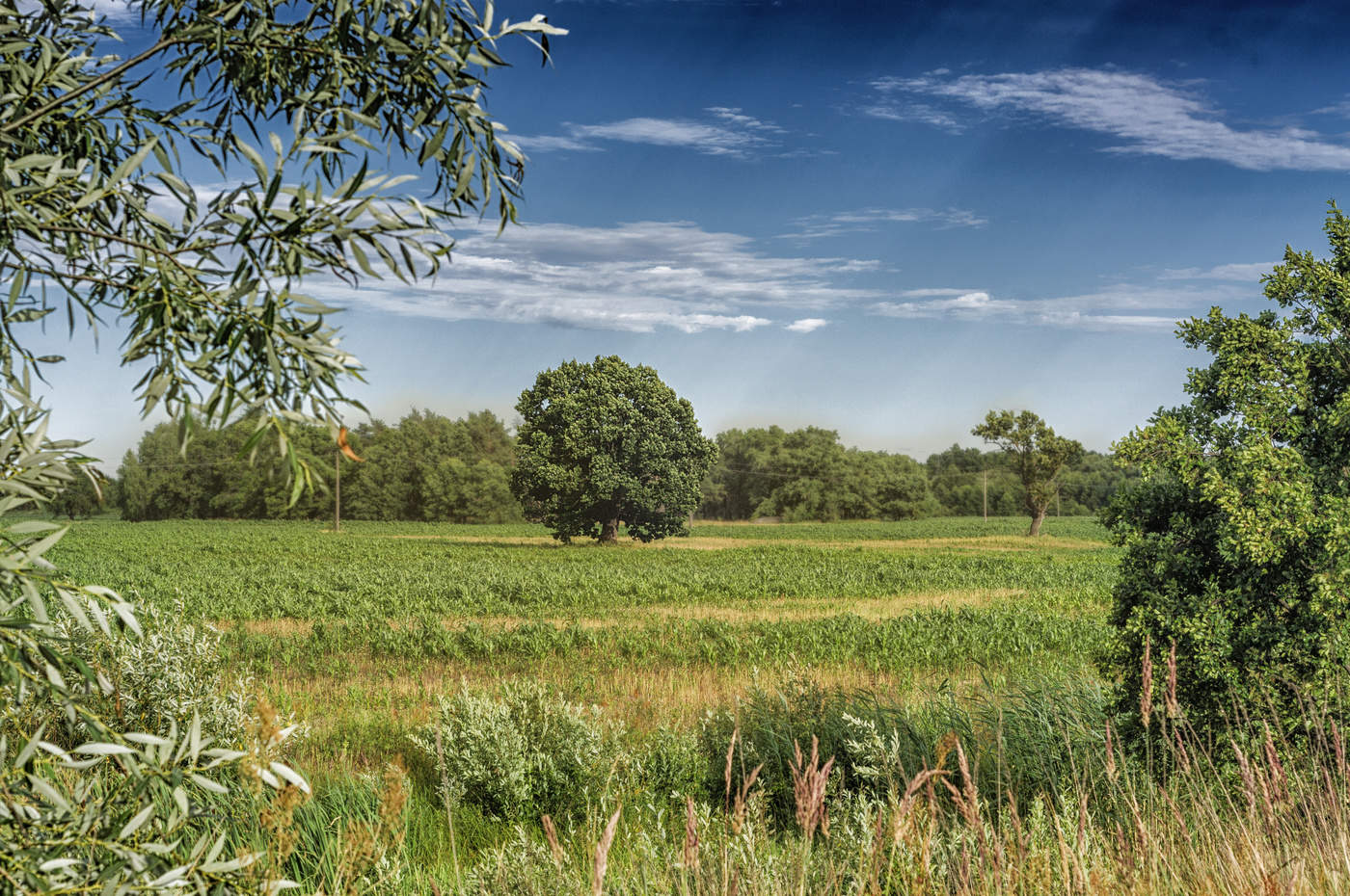 Ein Soldat auf dem Gebiet