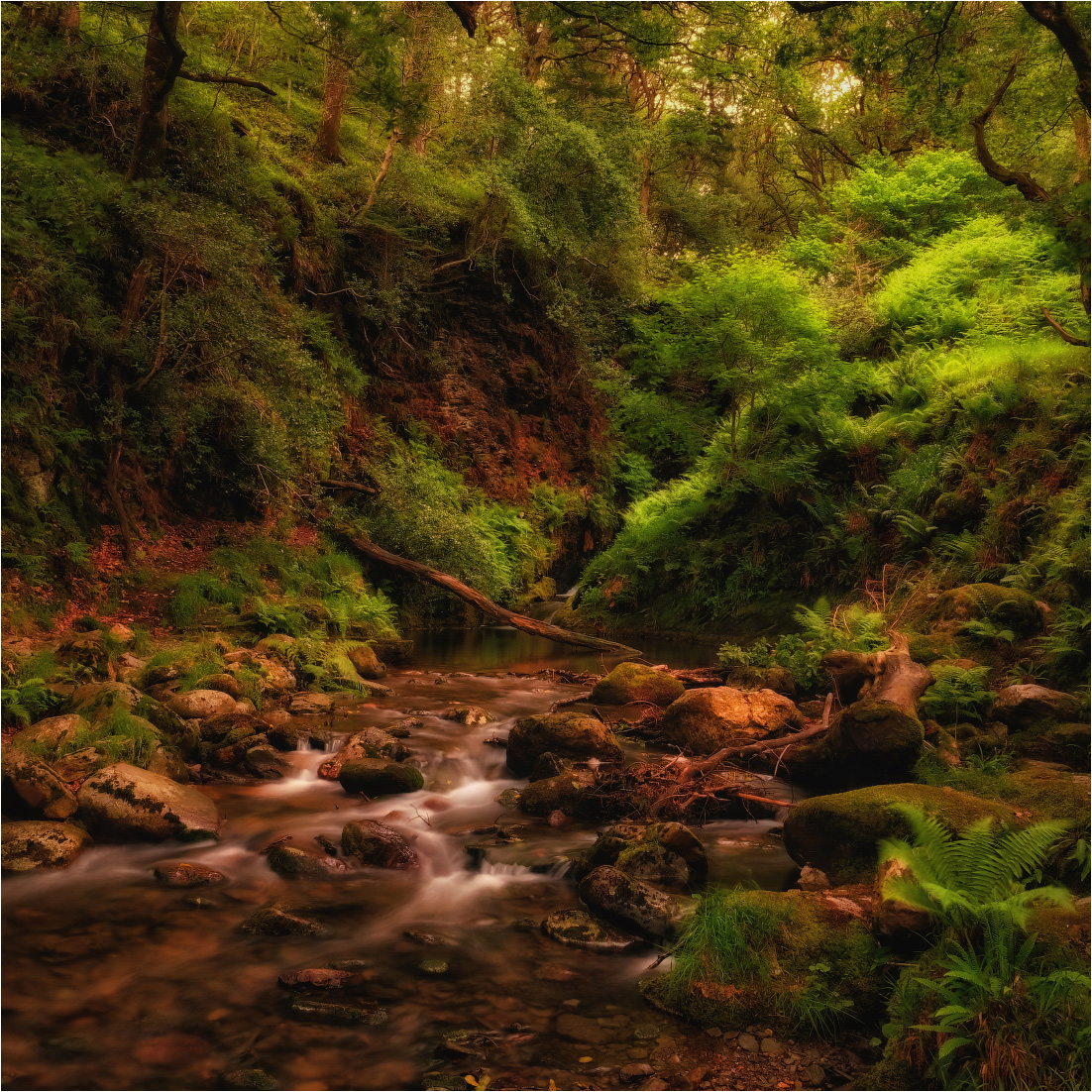 ...in the Kingdom of Glendalough...