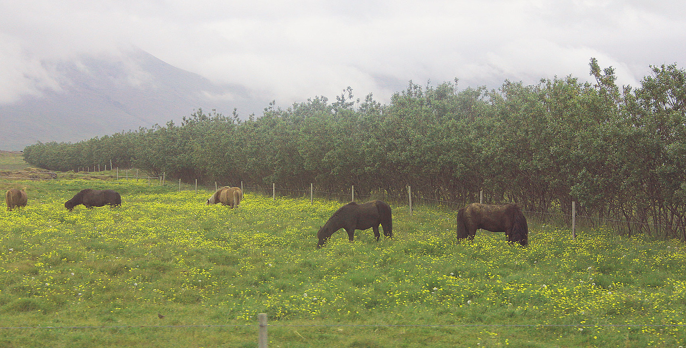 letzten Tag des Sommers