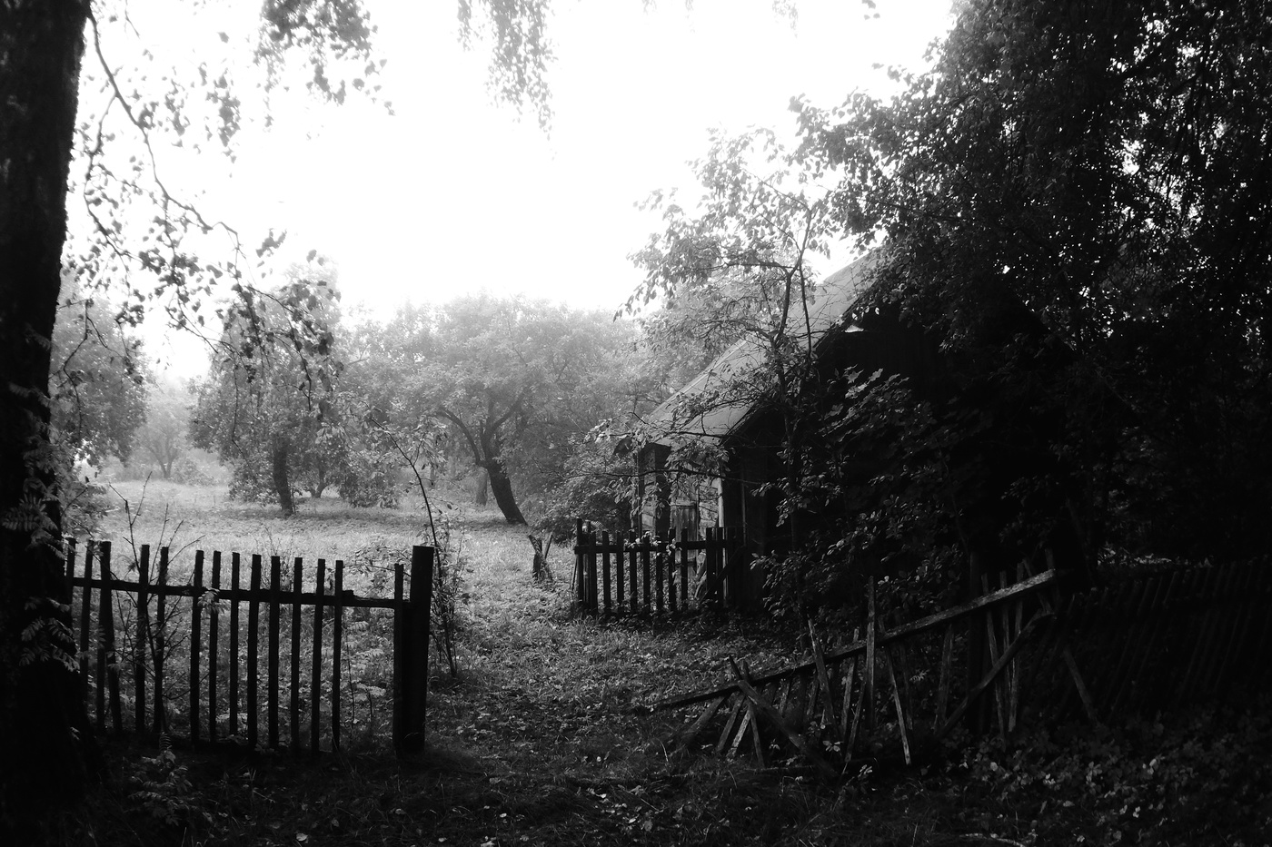 Die Kabinenfenster zum Garten ...