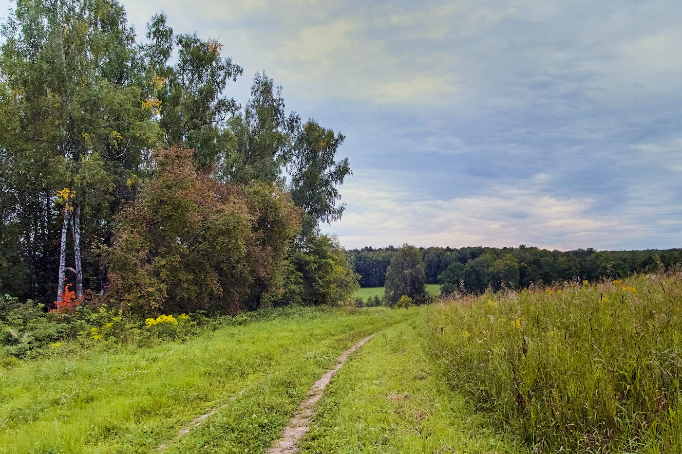 der Ansatz der Herbst