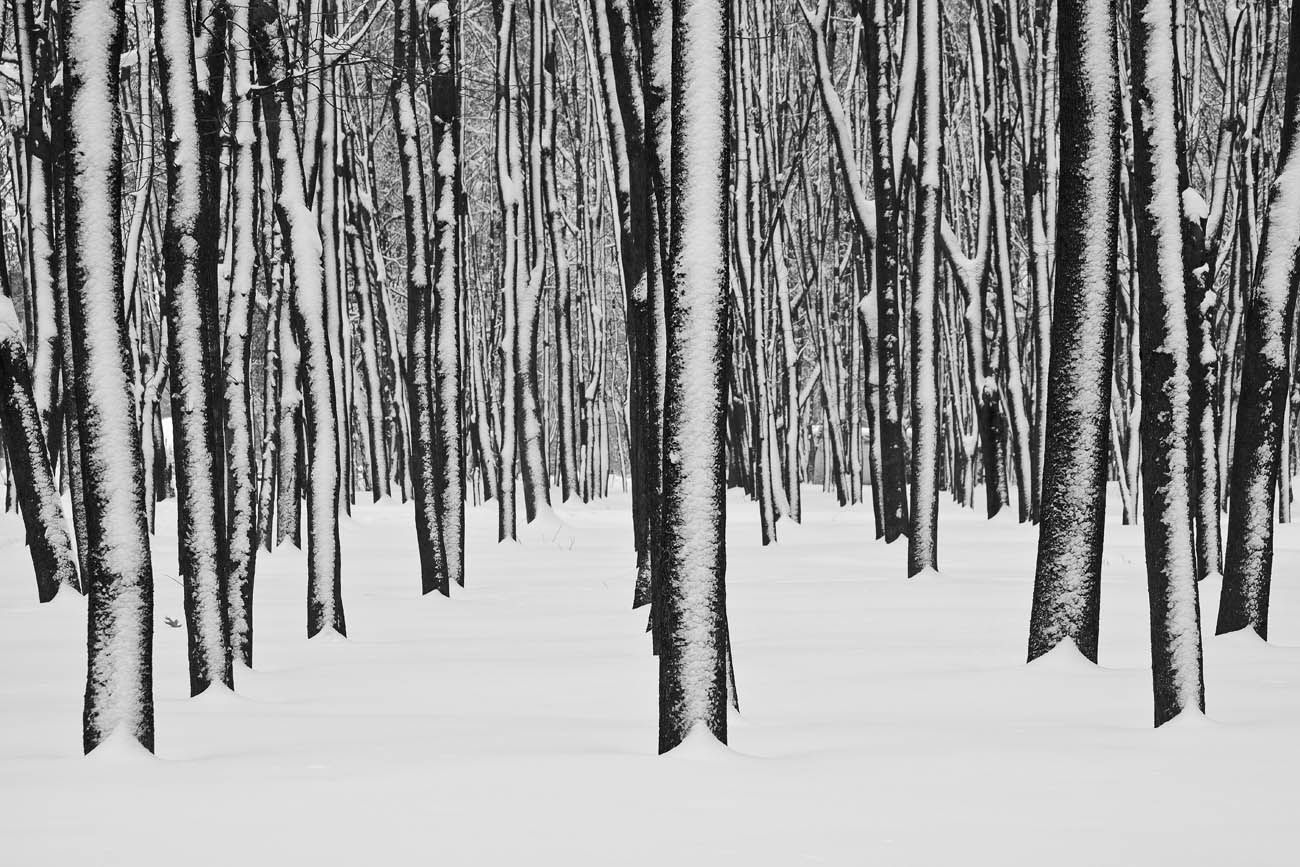 Sonnenuntergang im Winter