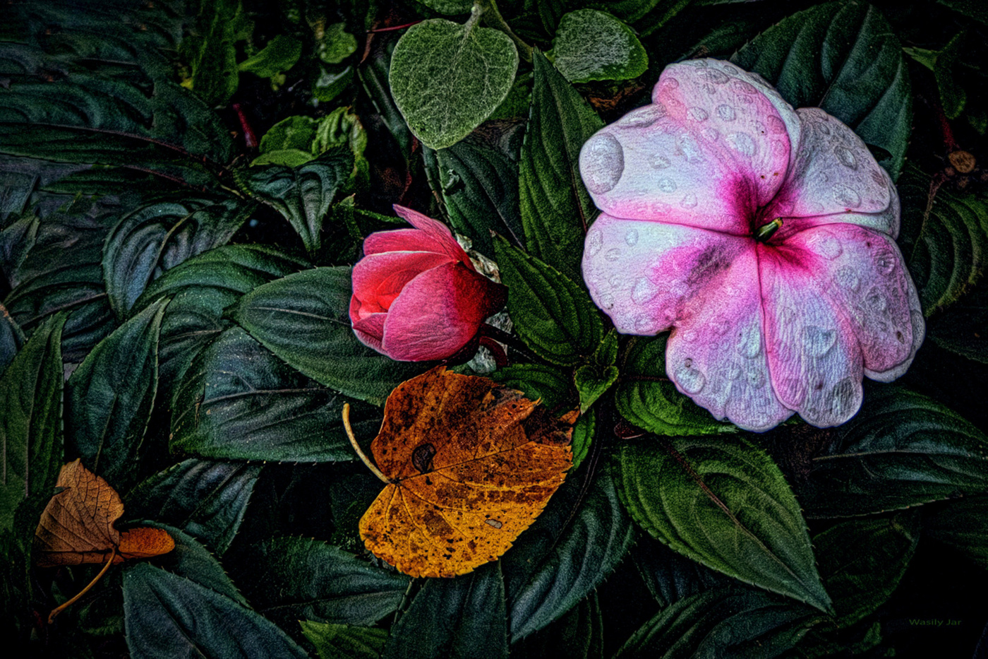 Zeichen des Herbstes.