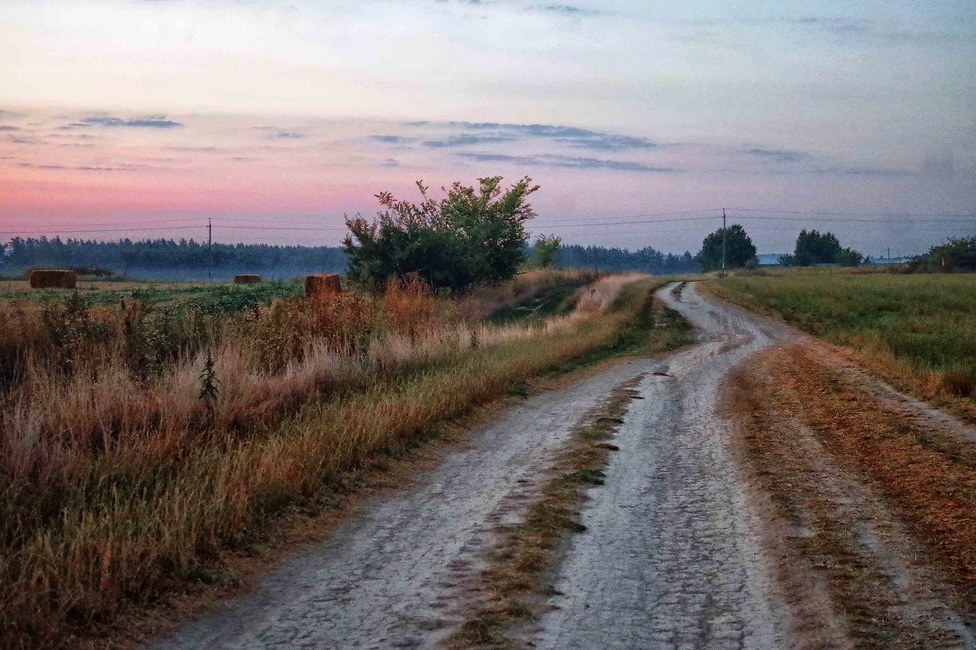 Der Weg in den Morgen