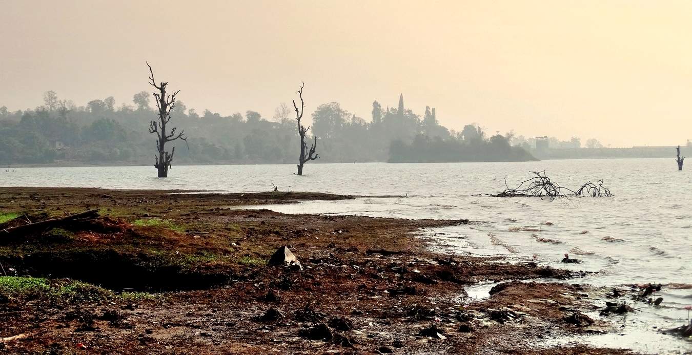 In der nebligen Dunst