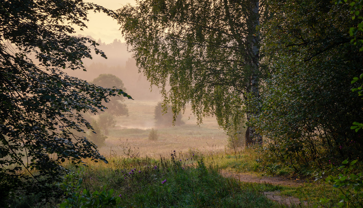Der Geruch des Herbstes