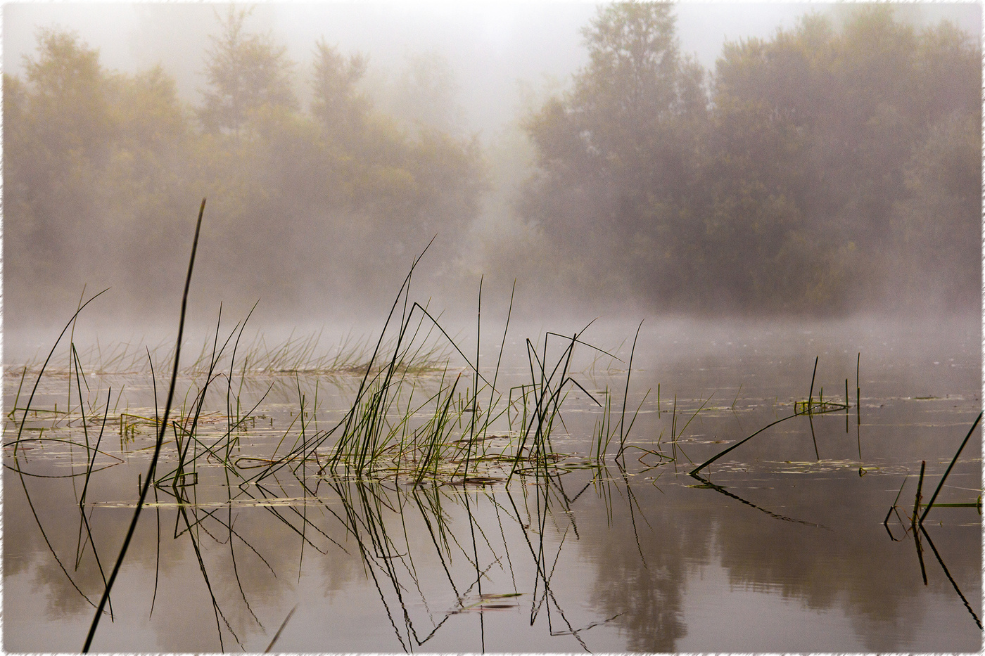 Nebel auf dem Fluss