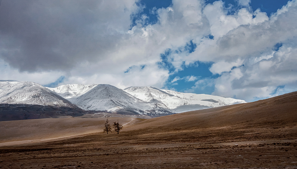 June .... Loneliness ........