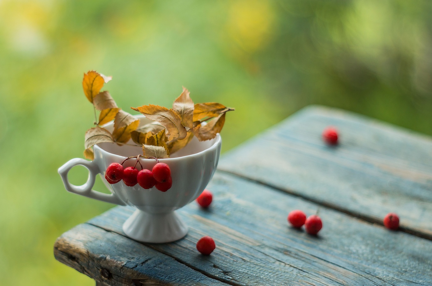 Zeichen des Herbstes