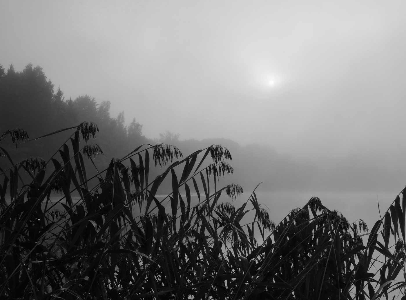 Abschied von Sommer.