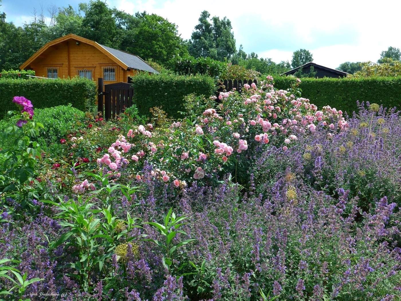 Wilhelmsburger Inselpark