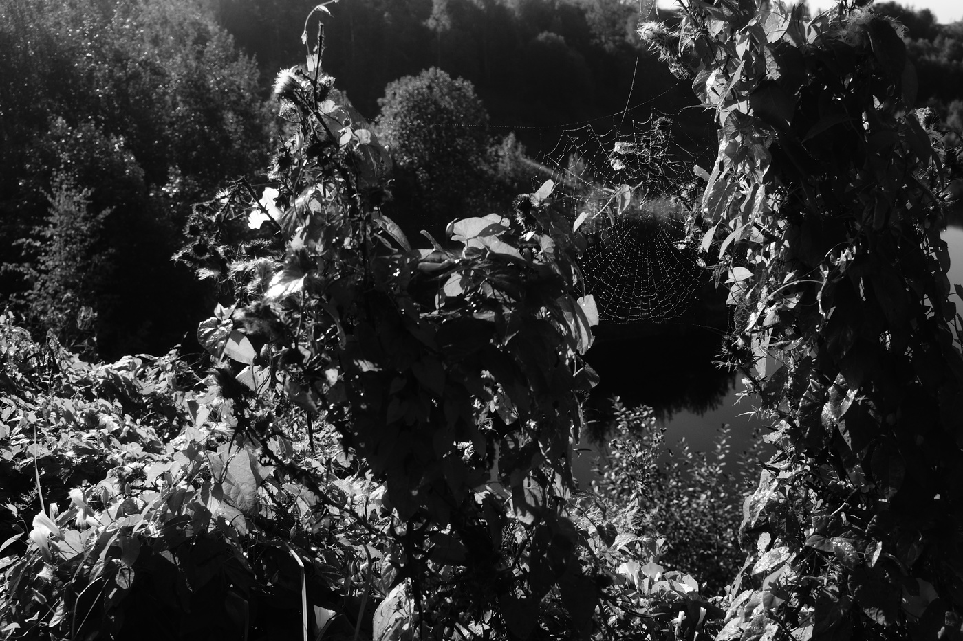 Zeichen des Herbstes.