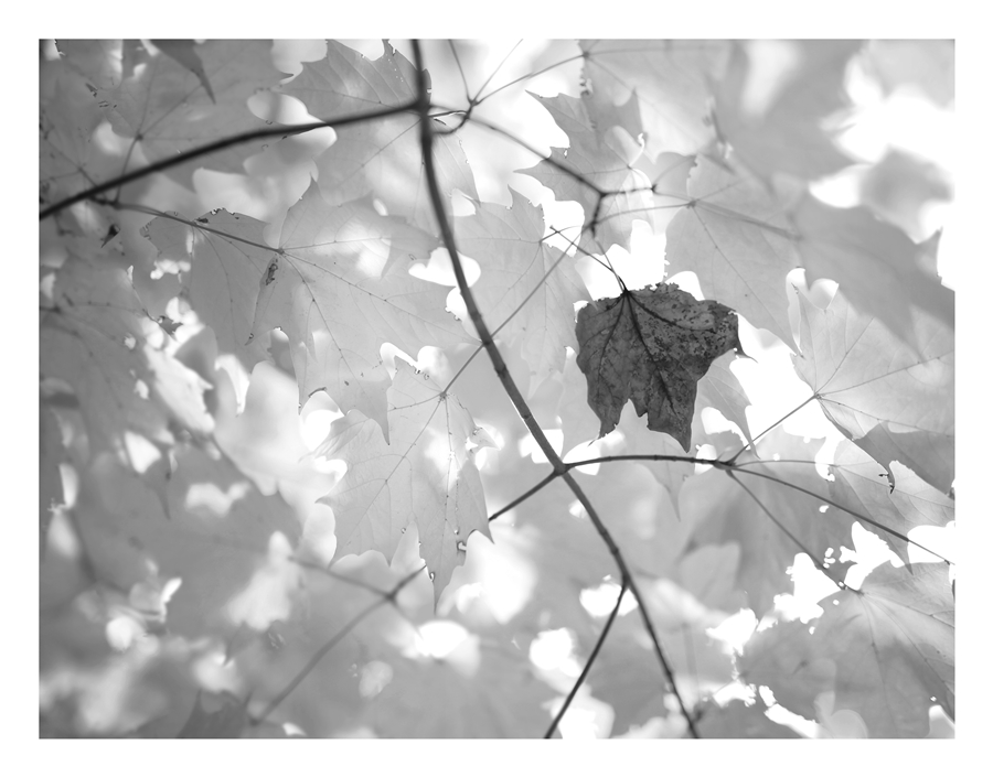 I've Got Dreams To Remember...