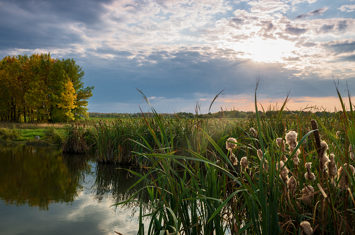 Nach dem Sonnenuntergang