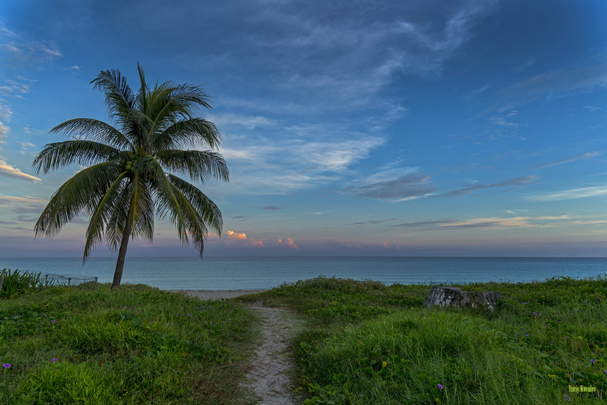 wish you were here-part 3