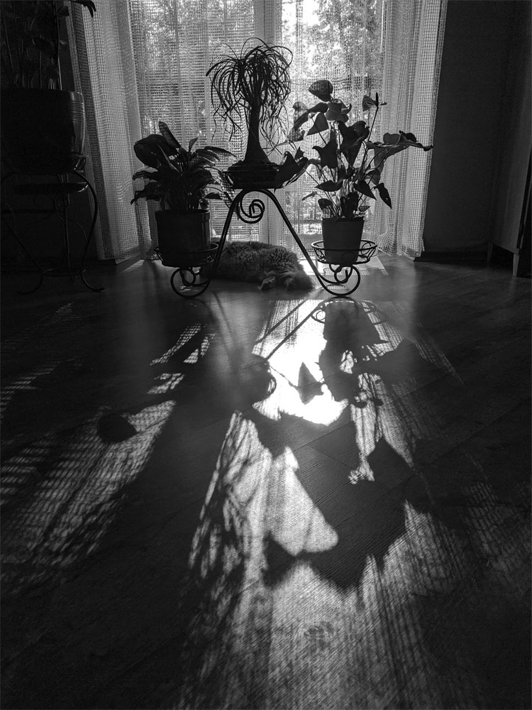 ))))))))))))))))))))